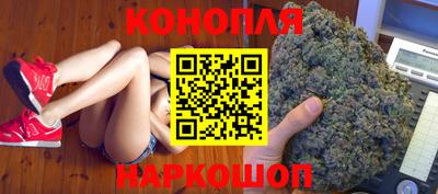jwh Будённовск