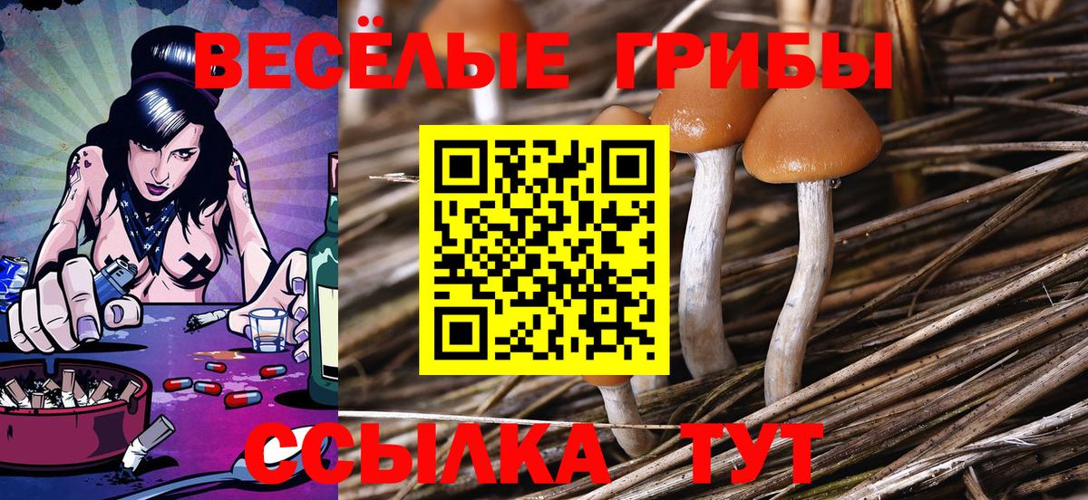 Новомосковск  Псилоцибиновые грибы Psilocybe  Вход с VPN 