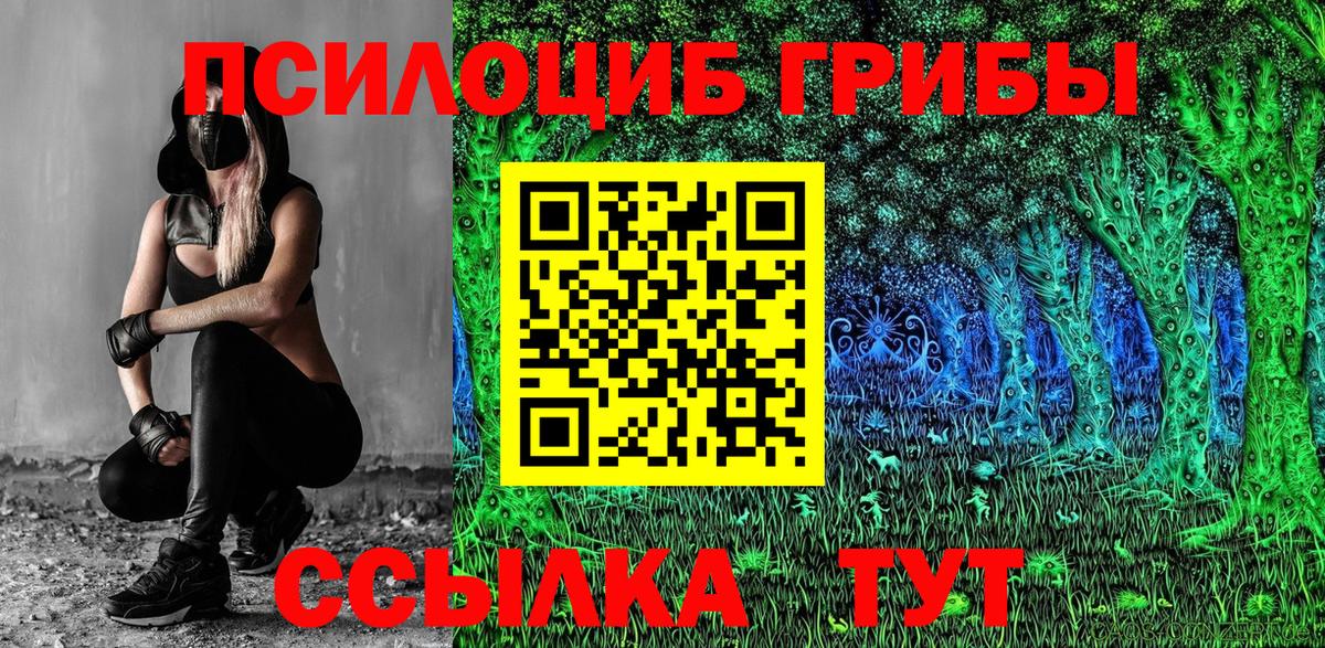 Псилоцибиновые грибы мухоморы Новомосковск
